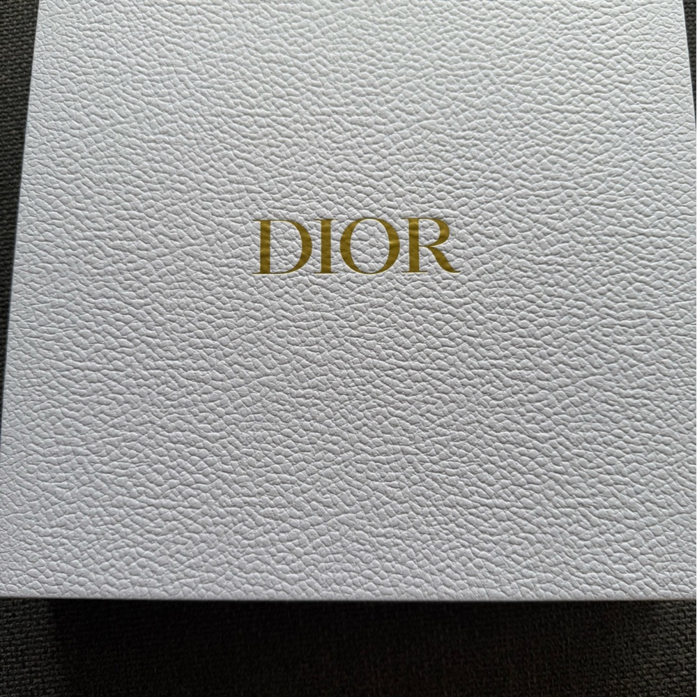 Dior NIB puzzle of map